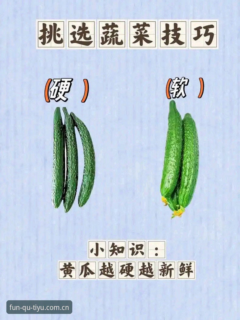 趣体育平台实用登录指南：操作技巧与必备知识